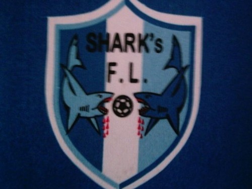 SHARKS