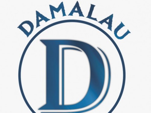 DAMALAU FUTSAL