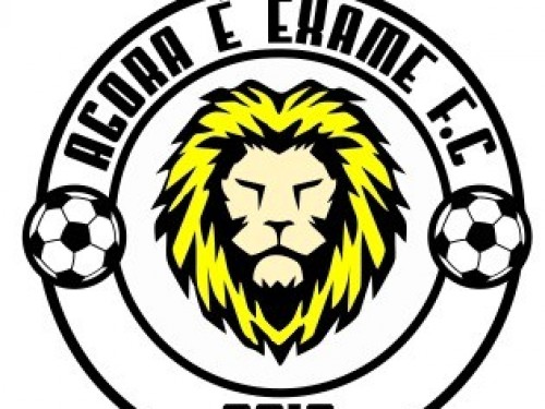 AGORA É EXAME F.C