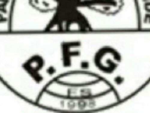 P.F.G IBIRA FUTSAL