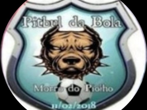 PITBUL DA BOLA