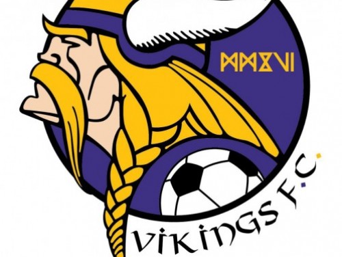 VIKINGS FUTSAL