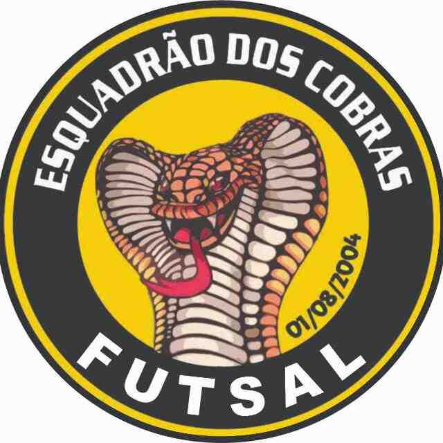 ESQUADRãO DOS COBRAS